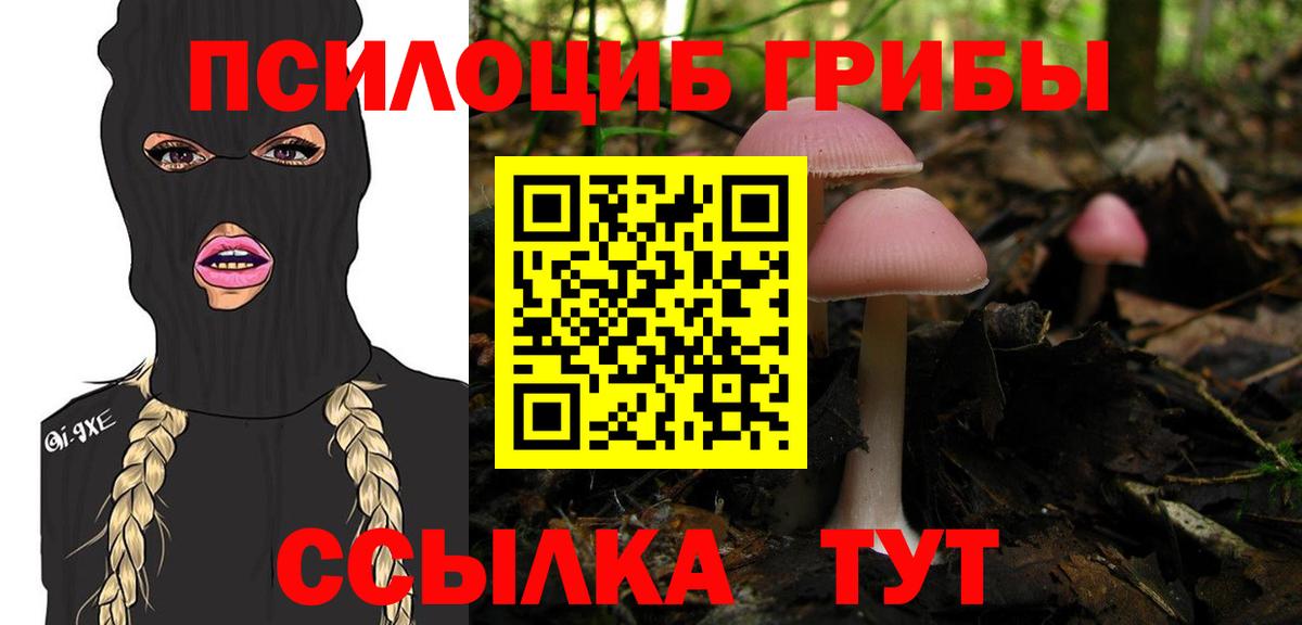 Менделеевск  Галлюциногенные грибы Psilocybe  Вход с VPN 